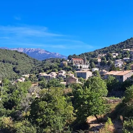 Maison Maquis Corse * Zicavo